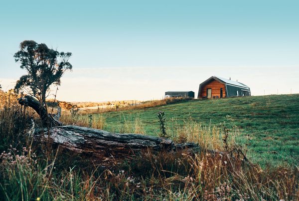 dual occupancy ecokit home in the australian mountains